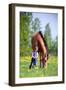 Child and Bay Horse in Field-Alexia Khruscheva-Framed Photographic Print