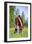 Child and Bay Horse in Field-Alexia Khruscheva-Framed Photographic Print