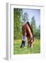 Child and Bay Horse in Field-Alexia Khruscheva-Framed Photographic Print