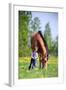 Child and Bay Horse in Field-Alexia Khruscheva-Framed Photographic Print