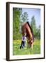 Child and Bay Horse in Field-Alexia Khruscheva-Framed Photographic Print