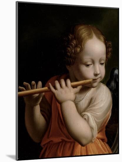 Child Angel Playing a Flute, C.1500-Bernardino Luini-Mounted Giclee Print