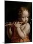 Child Angel Playing a Flute, C.1500-Bernardino Luini-Mounted Giclee Print