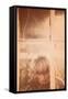Child Behind Window-Steve Allsopp-Framed Stretched Canvas