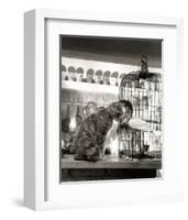 Child, Cat and Dove-Robert Doisneau-Framed Art Print