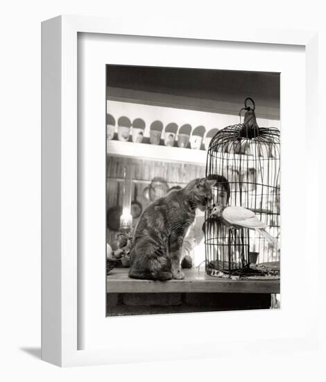 Child, Cat and Dove-Robert Doisneau-Framed Art Print