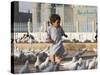Child Chasing the Famous White Pigeons, Mazar-I-Sharif, Afghanistan-Jane Sweeney-Stretched Canvas