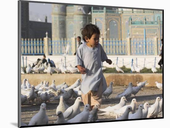 Child Chasing the Famous White Pigeons, Mazar-I-Sharif, Afghanistan-Jane Sweeney-Mounted Photographic Print