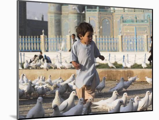 Child Chasing the Famous White Pigeons, Mazar-I-Sharif, Afghanistan-Jane Sweeney-Mounted Photographic Print