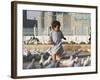 Child Chasing the Famous White Pigeons, Mazar-I-Sharif, Afghanistan-Jane Sweeney-Framed Photographic Print