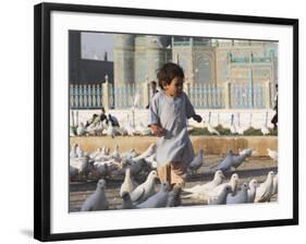 Child Chasing the Famous White Pigeons, Mazar-I-Sharif, Afghanistan-Jane Sweeney-Framed Photographic Print