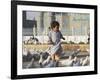 Child Chasing the Famous White Pigeons, Mazar-I-Sharif, Afghanistan-Jane Sweeney-Framed Photographic Print