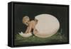 Child Emerging from an Egg-null-Framed Stretched Canvas