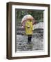 Child in Rain Gear with Umbrella Playing in Puddle.-Nora Hernandez-Framed Giclee Print