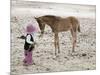 Child in Western Wear Feeding a Pony-Nora Hernandez-Mounted Premium Giclee Print