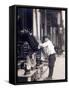 Child Labor, Bootblack at 2 West 4th Street, Wilmington, Delaware. May, 1910-null-Framed Stretched Canvas