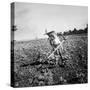Child of Black Tenant Farmer Family Using Hoe While Working in Cotton Field-Dorothea Lange-Stretched Canvas