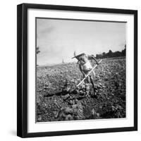 Child of Black Tenant Farmer Family Using Hoe While Working in Cotton Field-Dorothea Lange-Framed Photographic Print