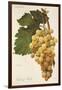 Child of Hall Grape by a Kreyder-null-Framed Giclee Print