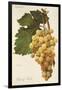 Child of Hall Grape by a Kreyder-null-Framed Giclee Print