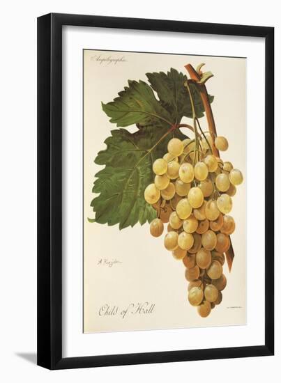 Child of Hall Grape by a Kreyder-null-Framed Giclee Print