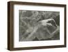 Child of ocean-Lionel Wendt-Framed Photographic Print