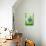 Child on Swing-Steven Allsopp-Photographic Print displayed on a wall