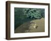 Child Playing with a Ball, 1899-Félix Vallotton-Framed Giclee Print