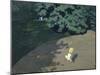 Child Playing with the Ball (Corner of the Park-Félix Vallotton-Mounted Giclee Print