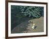 Child Playing with the Ball (Corner of the Park-Félix Vallotton-Framed Giclee Print