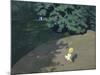 Child Playing with the Ball (Corner of the Park-Félix Vallotton-Mounted Premium Giclee Print