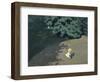 Child Playing with the Ball (Corner of the Park-Félix Vallotton-Framed Premium Giclee Print