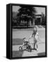 Child Playing with Tricycle-Alfred Eisenstaedt-Framed Stretched Canvas