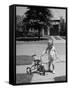 Child Playing with Tricycle-Alfred Eisenstaedt-Framed Stretched Canvas