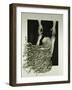 Child Reaching, 1975-Evelyn Williams-Framed Giclee Print