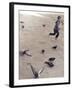 Child Running across Stones, Venice, Italy-Steven Boone-Framed Photographic Print