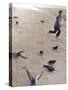 Child Running across Stones, Venice, Italy-Steven Boone-Stretched Canvas