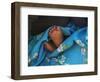 Child's Feet Wrapped with Sari at Kunbuli Friday Market, Orissa, India-Keren Su-Framed Photographic Print