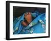 Child's Feet Wrapped with Sari at Kunbuli Friday Market, Orissa, India-Keren Su-Framed Photographic Print