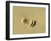 Child's Footprints on Beach at Santa Maria, Sal (Salt), Cape Verde Islands, Africa-Robert Harding-Framed Photographic Print