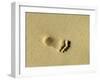 Child's Footprints on Beach at Santa Maria, Sal (Salt), Cape Verde Islands, Africa-Robert Harding-Framed Photographic Print