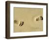 Child's Footprints on Beach at Santa Maria, Sal (Salt), Cape Verde Islands, Africa-Robert Harding-Framed Photographic Print