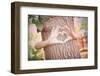 Child's Hands Making a Heart Shape on a Tree Trunk. Instagram Effect-soupstock-Framed Photographic Print