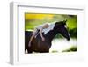 Child Sits On A Horse In Meadow Near Small River-Alexia Khruscheva-Framed Photographic Print