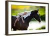 Child Sits On A Horse In Meadow Near Small River-Alexia Khruscheva-Framed Photographic Print