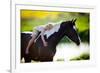 Child Sits On A Horse In Meadow Near Small River-Alexia Khruscheva-Framed Photographic Print