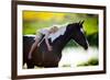 Child Sits On A Horse In Meadow Near Small River-Alexia Khruscheva-Framed Photographic Print