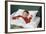 Child Sleeping in Bed-William P. Gottlieb-Framed Photographic Print