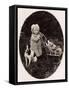 Child, Toy Pram, Dog-null-Framed Stretched Canvas
