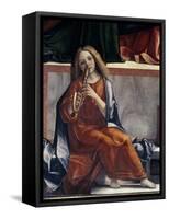 Child with Wind Instrument-Vittore Carpaccio-Framed Stretched Canvas